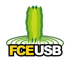 Logo USB